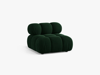 Bellis bazni modul