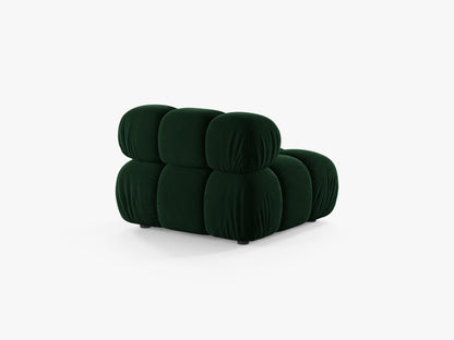 Bellis bazni modul