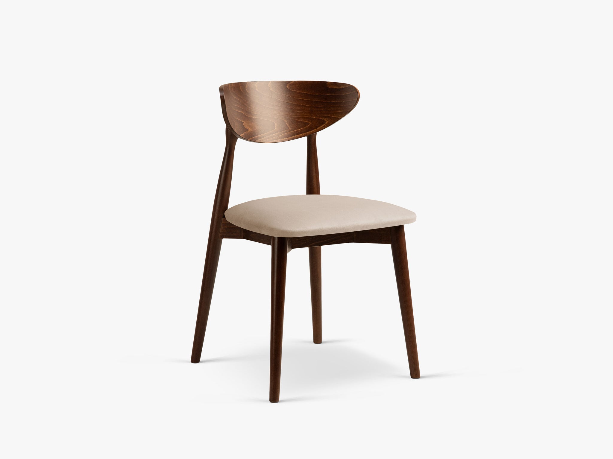 Leon blagovaonska stolica