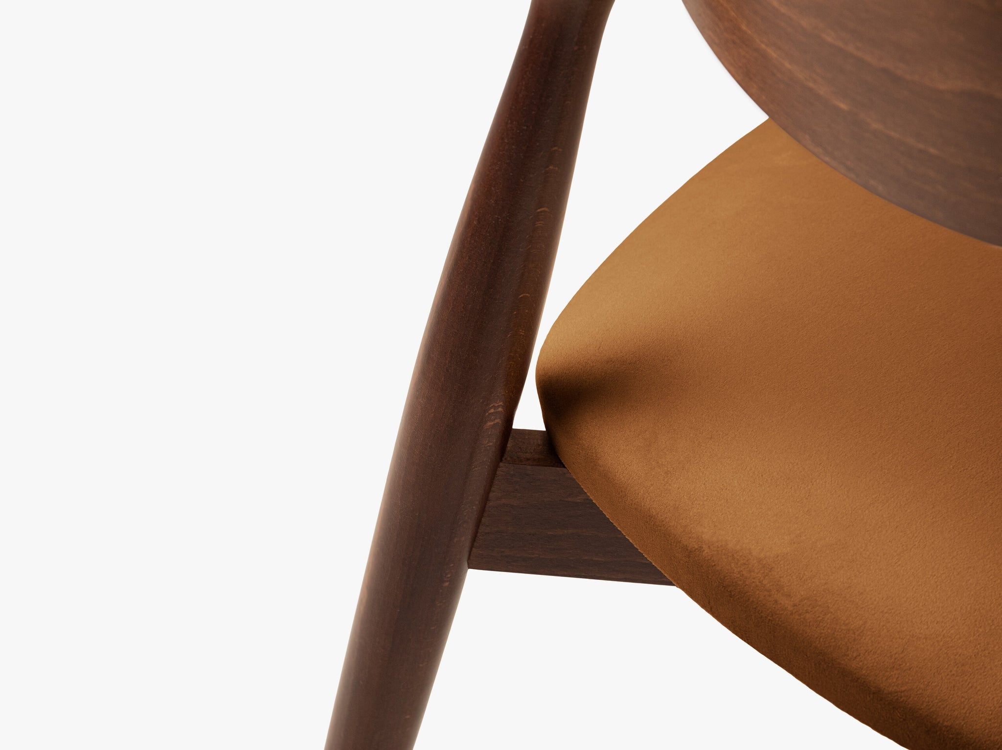 Leon blagovaonska stolica