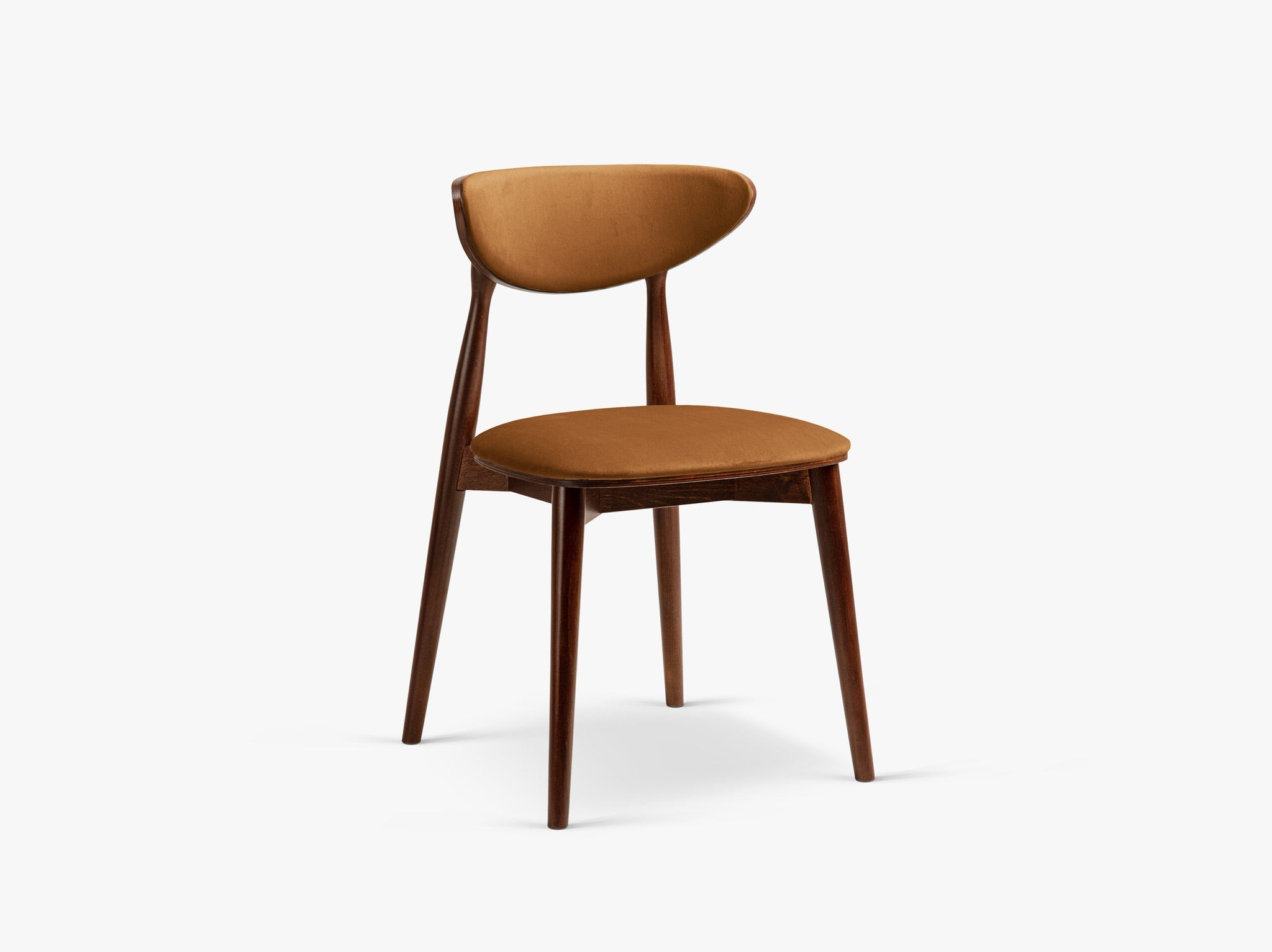 Rina blagovaonska stolica