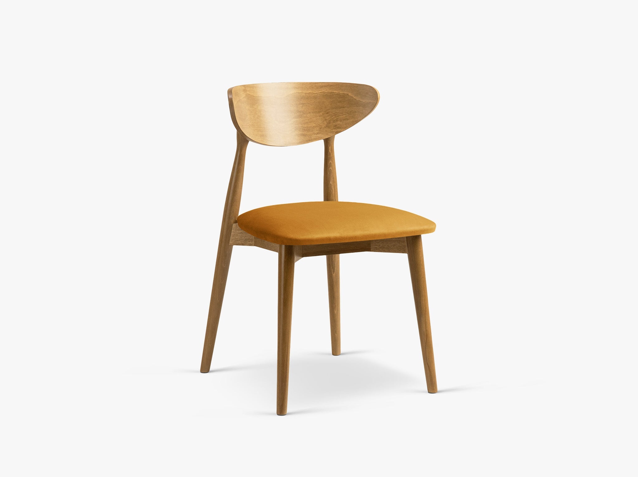 Leon blagovaonska stolica