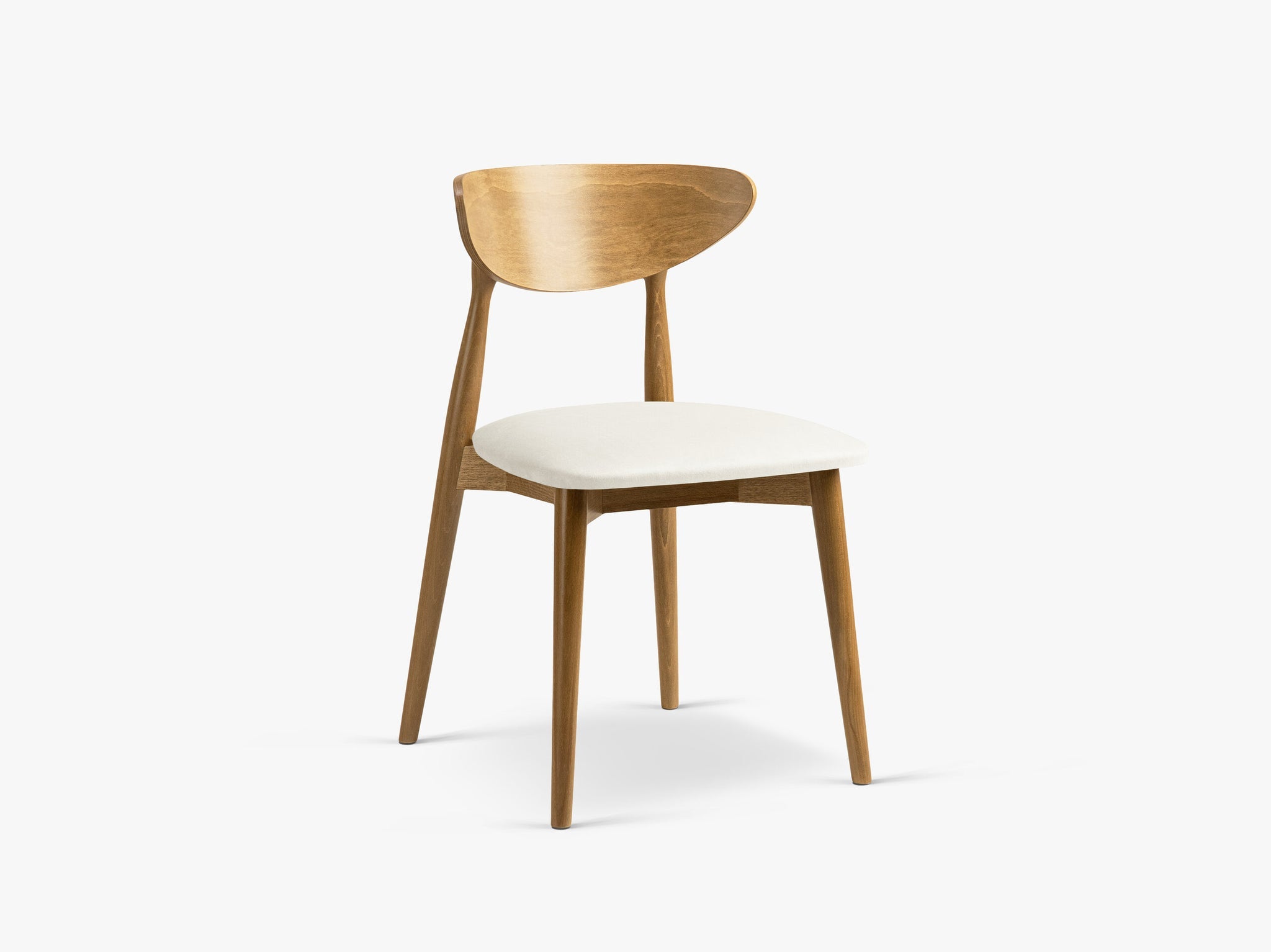 Leon blagovaonska stolica