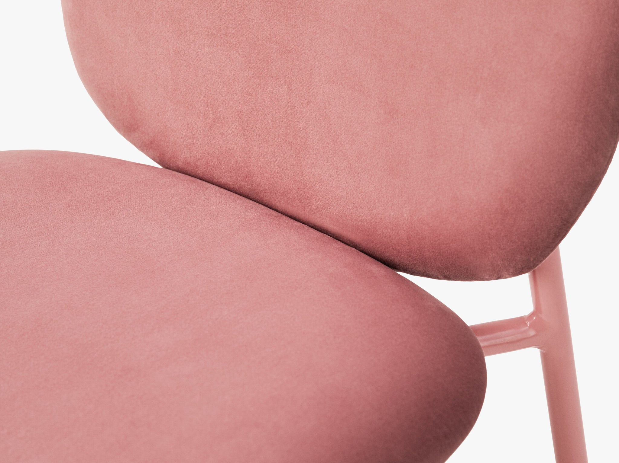 Caroline blagovaonska stolica