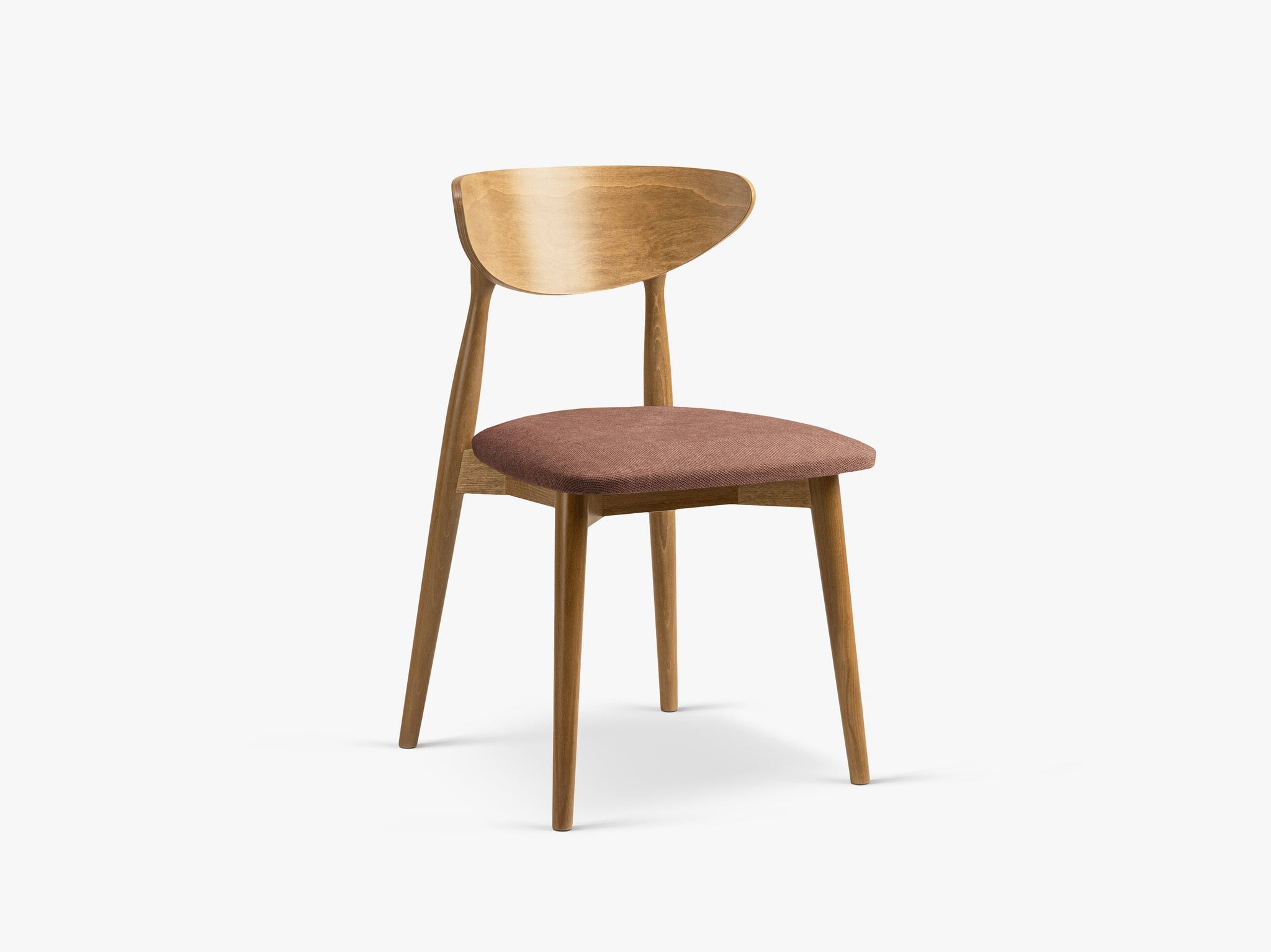 Leon blagovaonska stolica