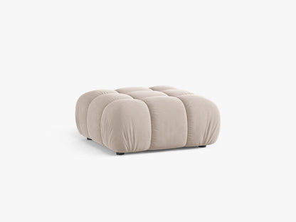 Bellis tabure